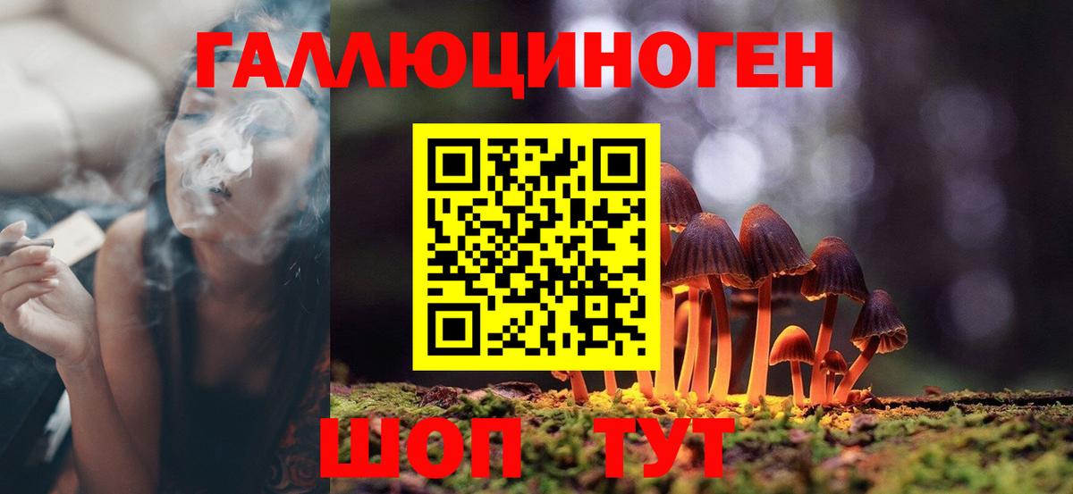Галлюциногенные грибы GOLDEN TEACHER  Вход с VPN  Магнитогорск 
